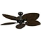 Decorative Ceiling Fan